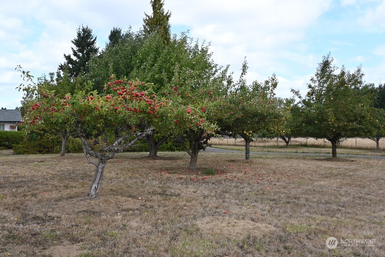 9334 Gastaeson Lane Southwest Rochester, WA 98579 - Photo 21 of 28 Gallery Image 21