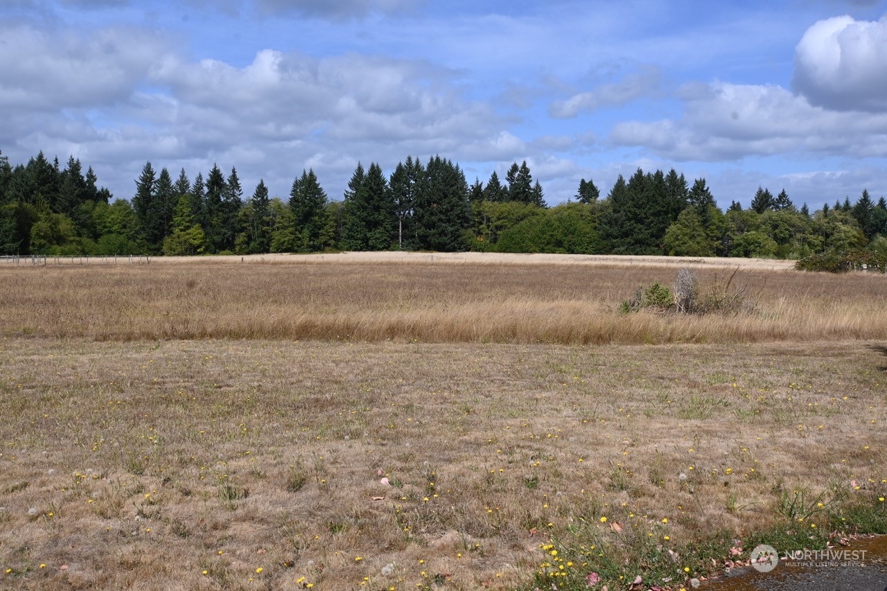 9334 Gastaeson Lane Southwest Rochester, WA 98579 - Photo 22 of 28 Gallery Image 22