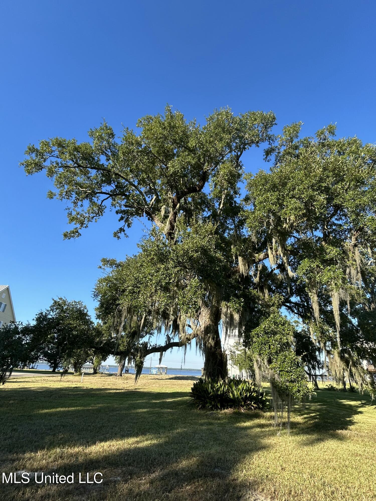 Engman Avenue Bay St. Louis, MS 39520 - Photo 3 of 10 IMG_5801