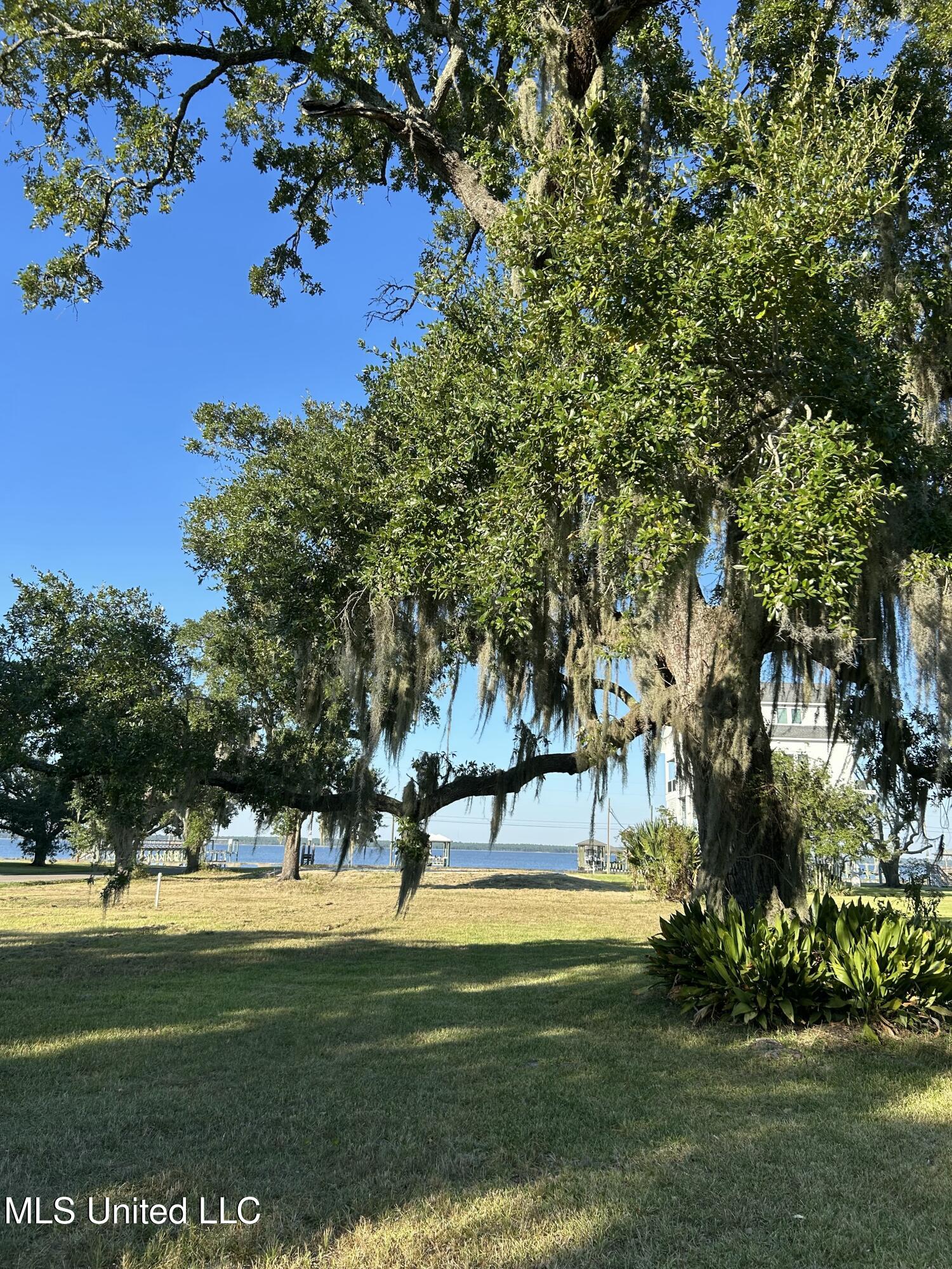 Engman Avenue Bay St. Louis, MS 39520 - Photo 4 of 10 IMG_5798