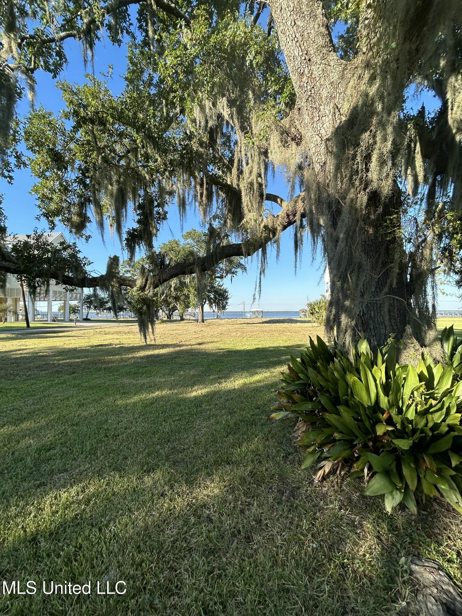 Engman Avenue Bay St. Louis, MS 39520 - Photo 5 of 10 IMG_5802