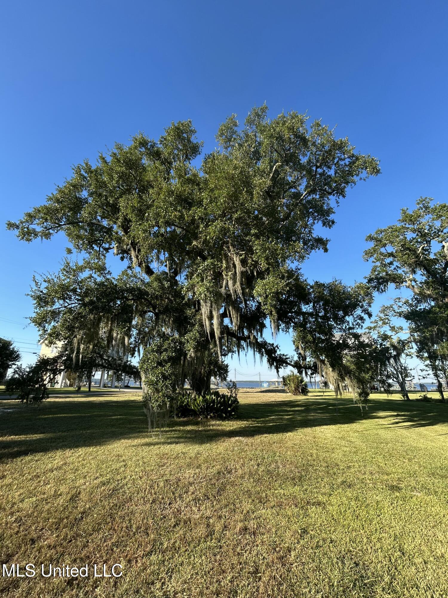 Engman Avenue Bay St. Louis, MS 39520 - Photo 6 of 10 IMG_5799
