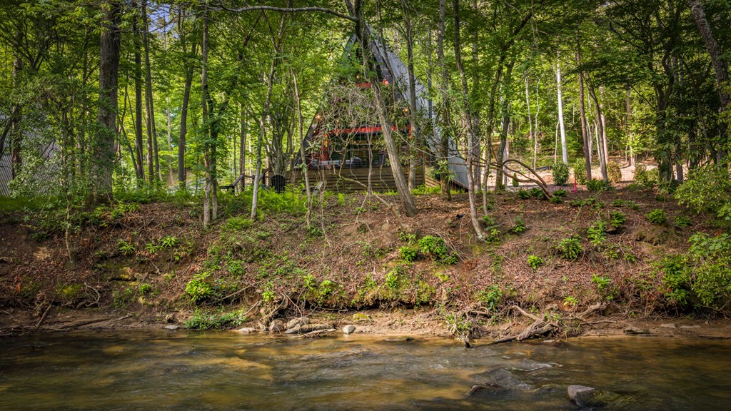 60 Magnolia Trail Blue Ridge, GA 30513 - Photo 53 of 71