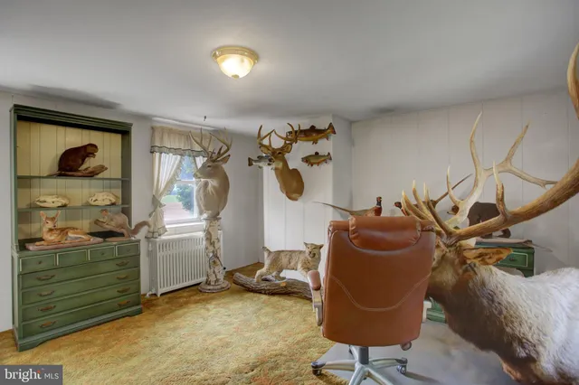 a house view with swimming pool in front of it