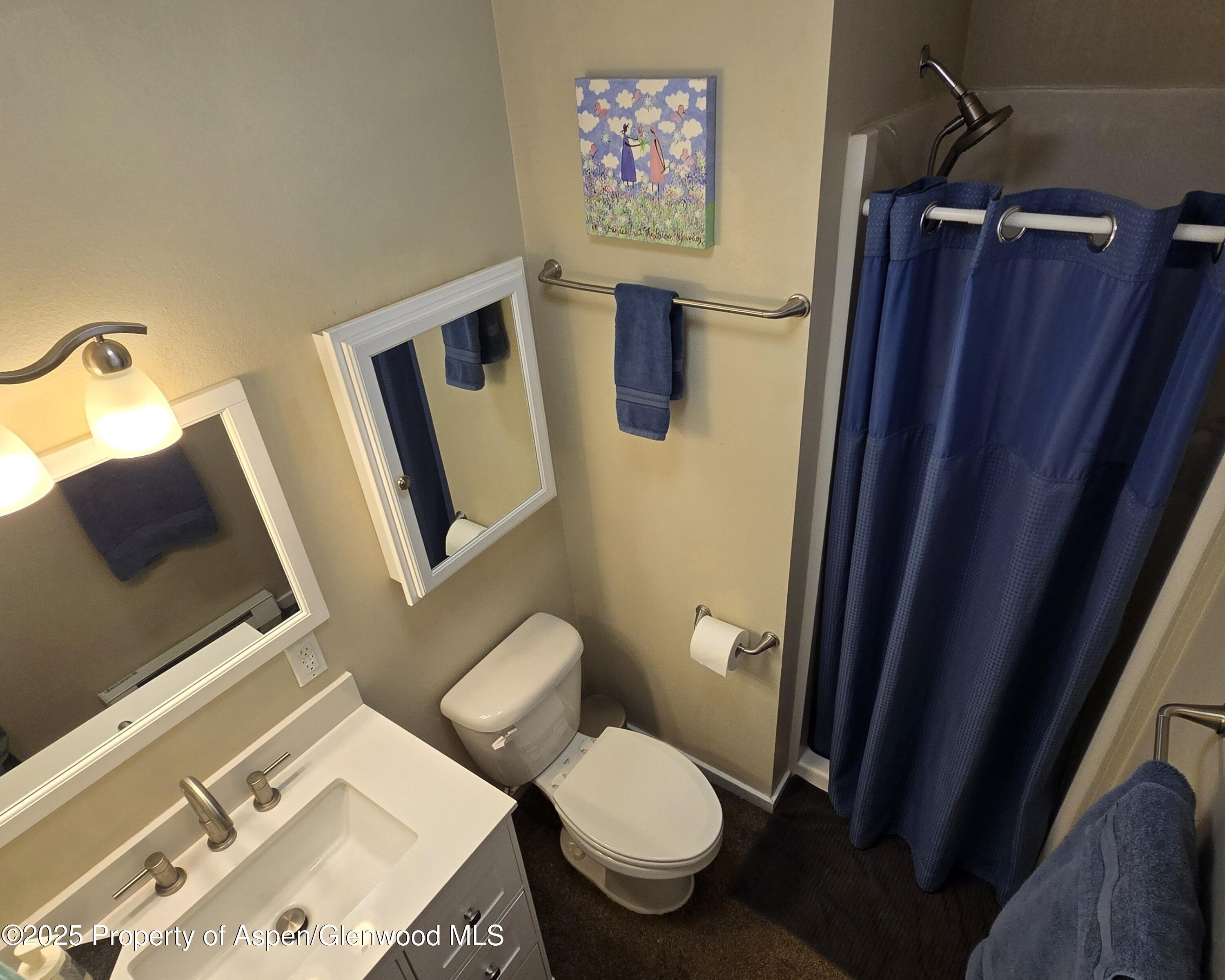 175 Midland Avenue, Unit 4 Basalt, CO 81621 - Photo 7 of 17 Bathroom