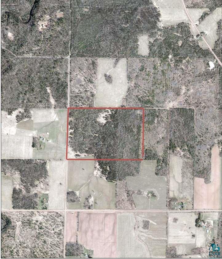Xxx Muskeg Road Iron River, WI 54847 - Photo 1 of 8 60 acres mixed soft/hardwood trees