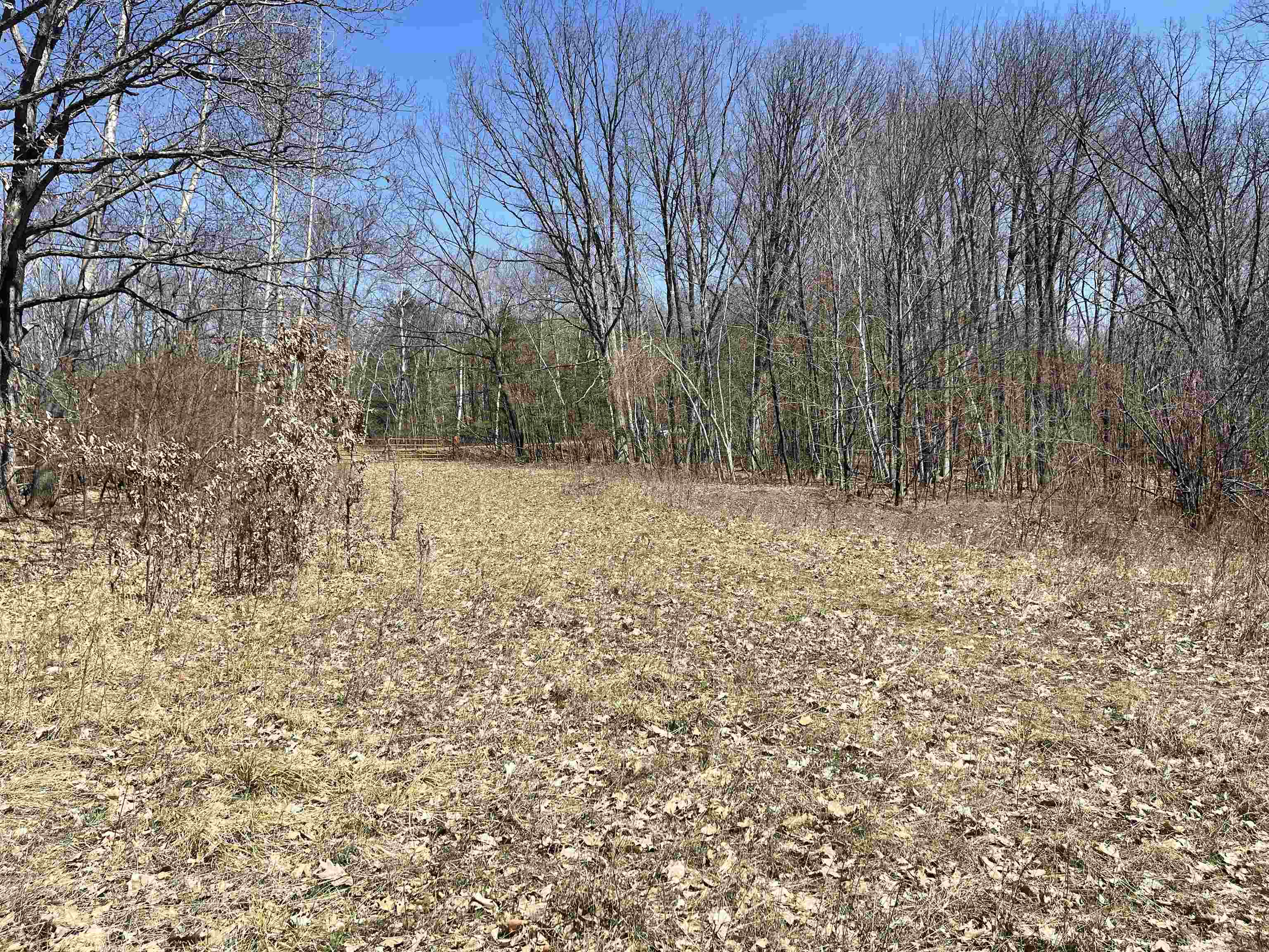 0400053 B Cary Rock Pittsville Wi 54466  