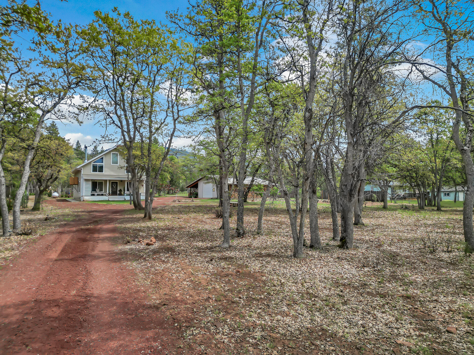 29101 Day Road McArthur, CA 96056 - Photo 2 of 48 a view of a yard with a tree