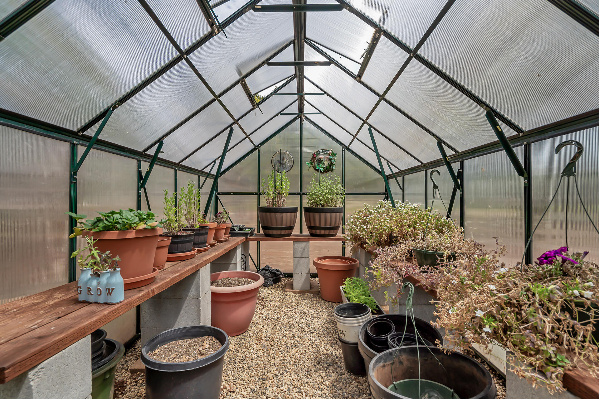 29101 Day Road McArthur, CA 96056 - Photo 46 of 48 a room with lots of potted plants
