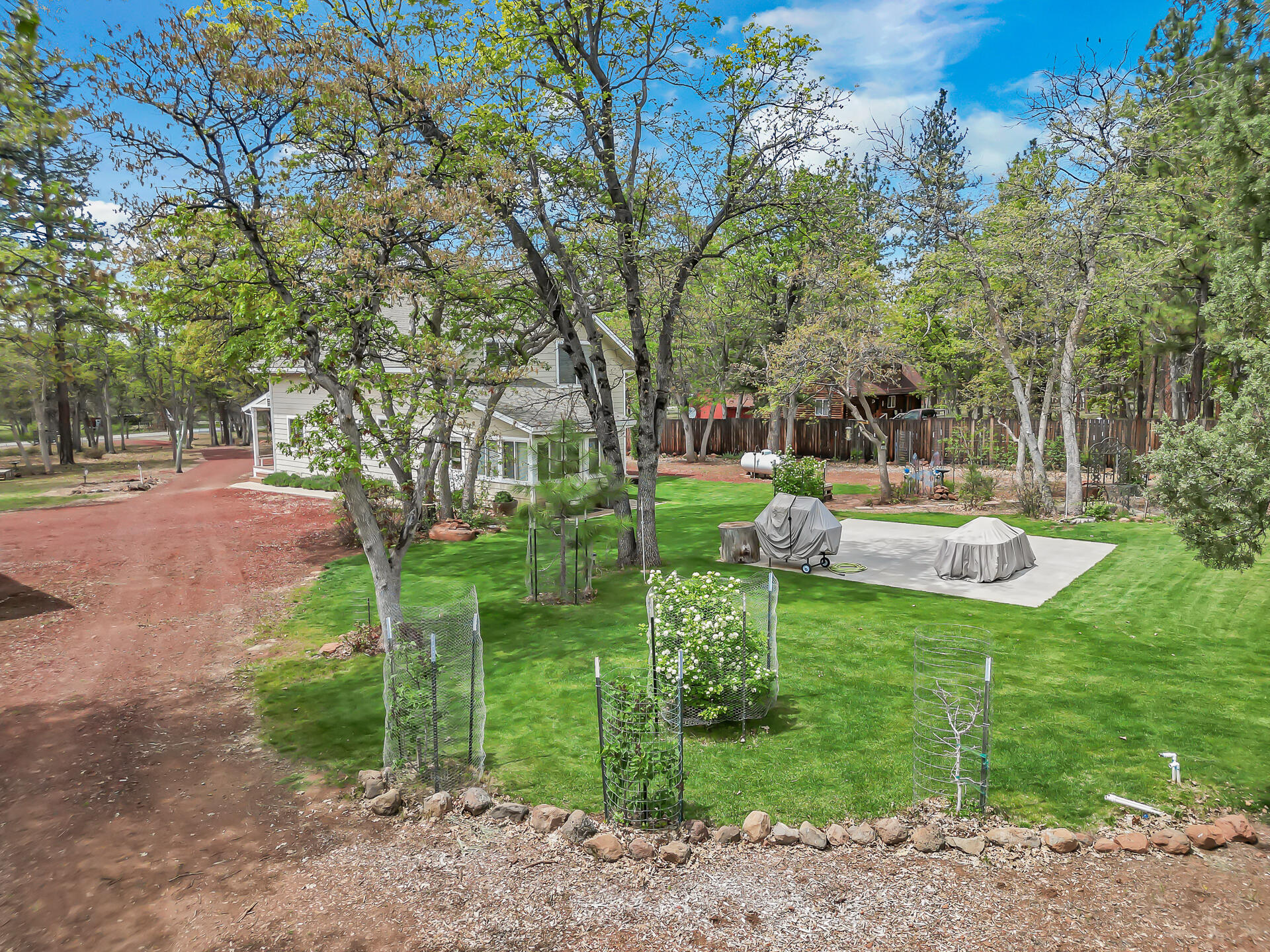 29101 Day Road McArthur, CA 96056 - Photo 6 of 48 a view of a park with large trees