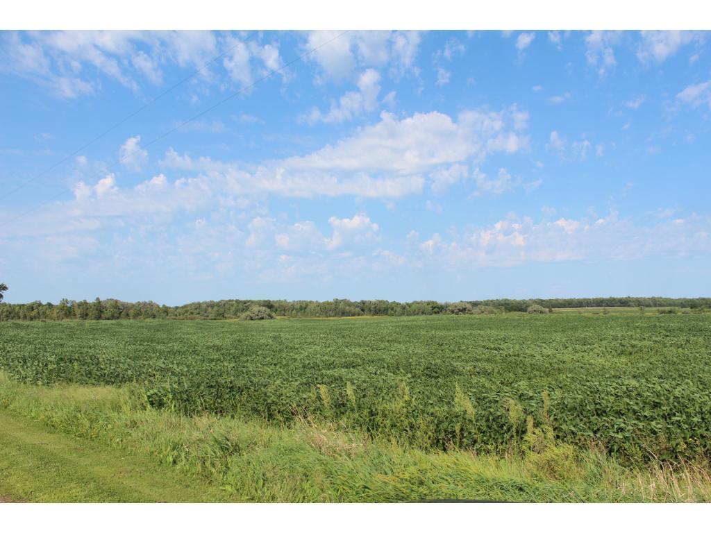 0 Maplewood Road Grantsburg, WI 54840 - Photo 1 of 1 Gallery Image 1