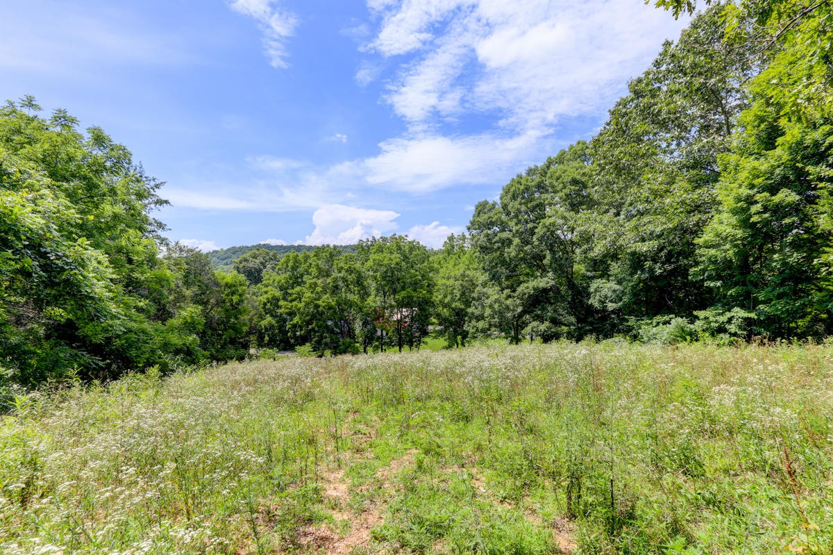 3318 Old Raccoon Valley Drive Heiskell, TN 37754 - Photo 26 of 29