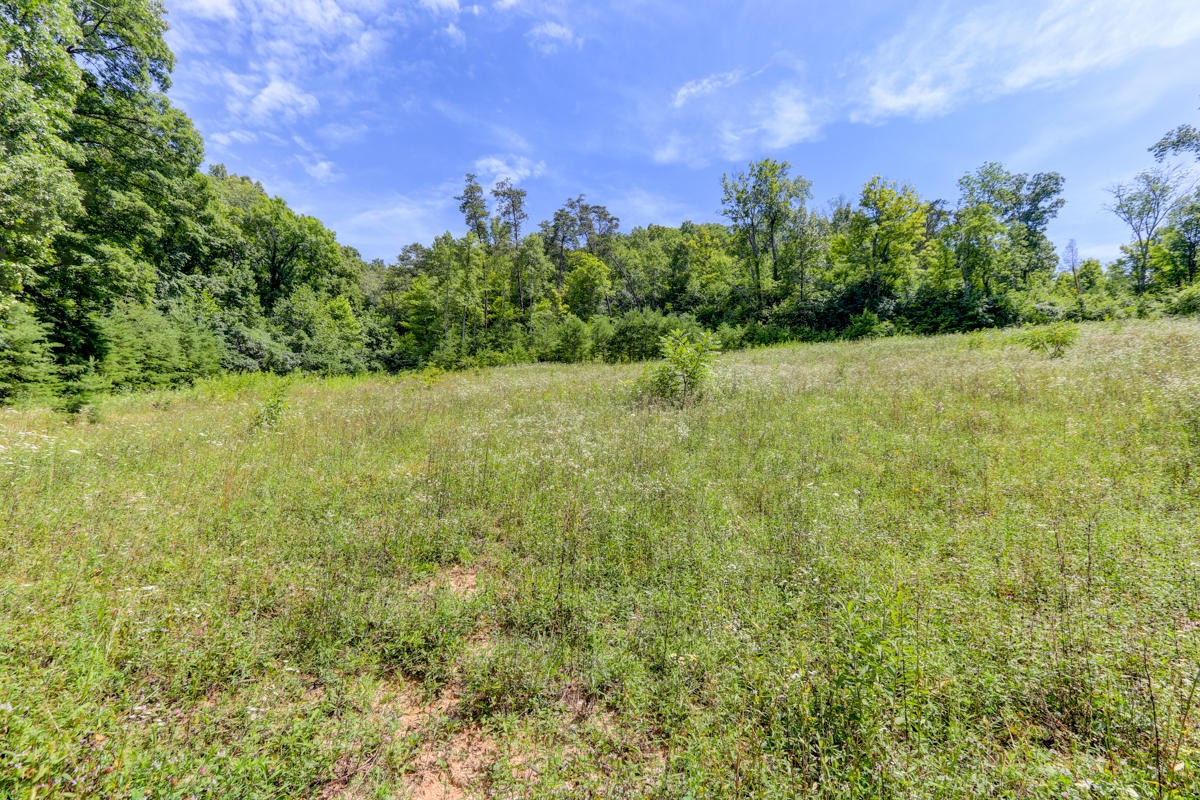 3318 Old Raccoon Valley Drive Heiskell, TN 37754 - Photo 27 of 29