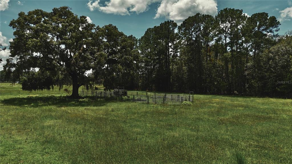 4802 Northwest 50th Road Starke, FL 32091 - Photo 22 of 75 Gallery Image 22