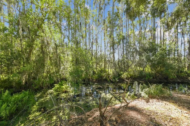 $299,000 | 1627 Hammocks Avenue, Lutz, FL 33549