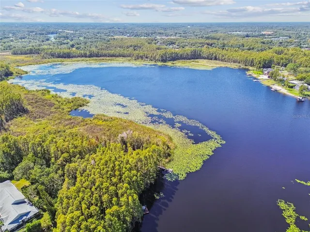 $299,000 | 1627 Hammocks Avenue, Lutz, FL 33549