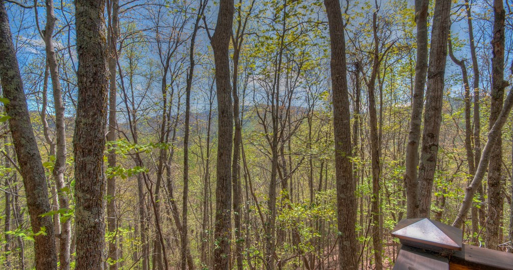 930 Deweese Road Topton, NC 28781 - Photo 4 of 46 Gallery Image 4