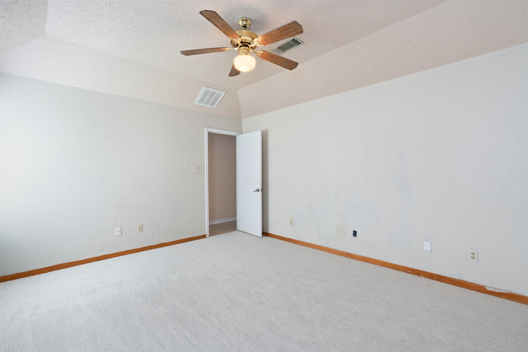 2306 Raintree Path Round Rock, TX 78664 - Photo 15 of 23 A spacious bedroom features plush carpeting and a vaulted ceiling with a decorative ceiling fan.
