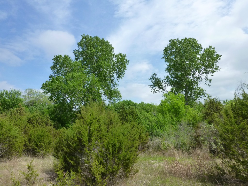 215 A Ridgeline Road Leander, TX 78641 - Photo 1 of 1 Gallery Image 1