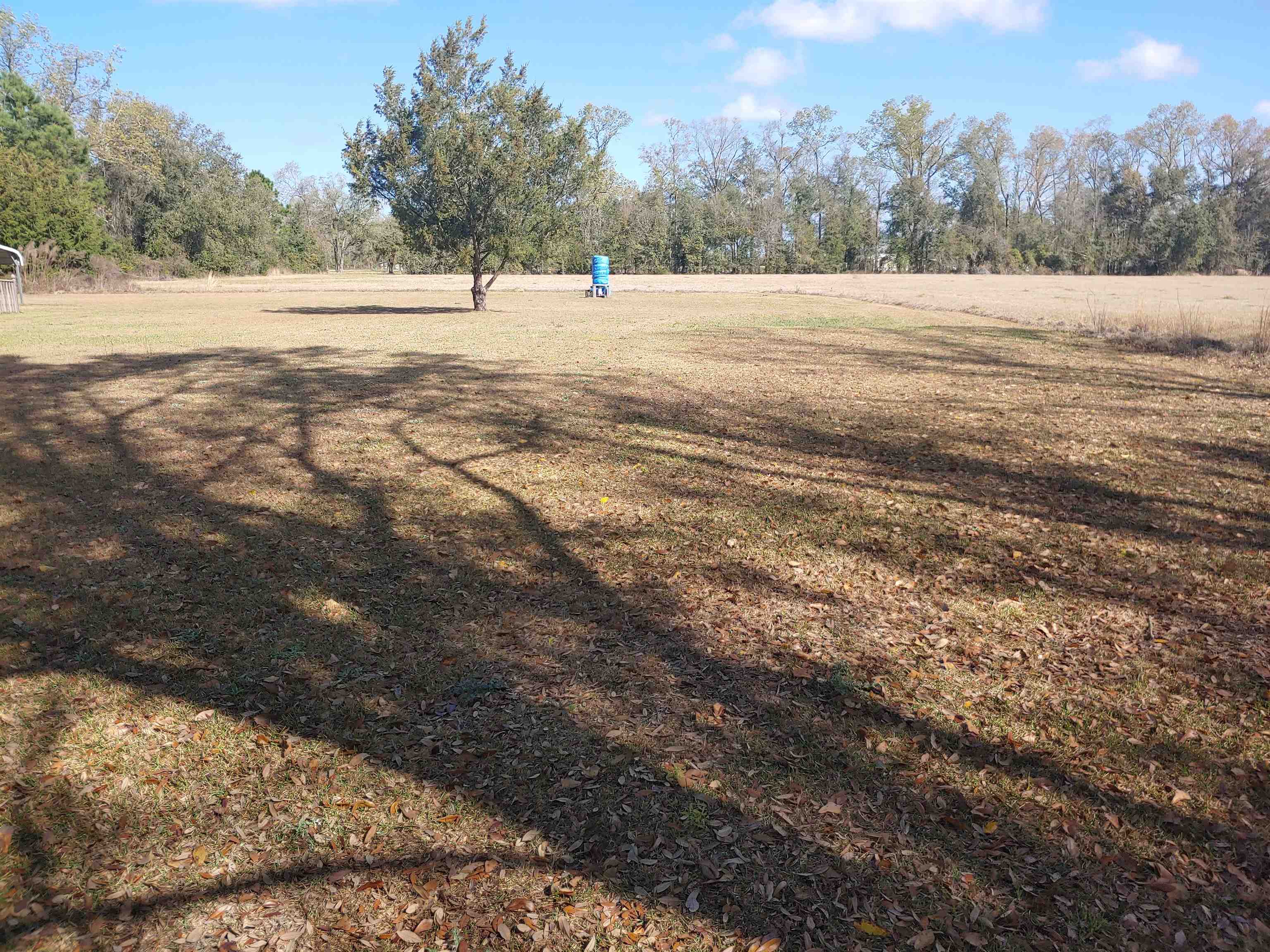 5538 Banner Road Malone, FL 32445 - Photo 2 of 30