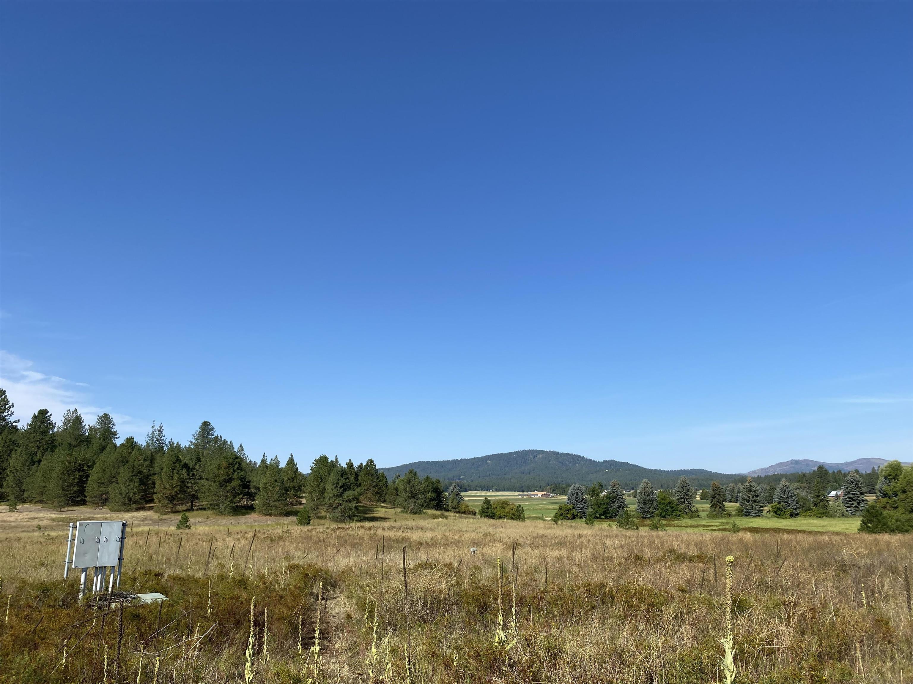 8109 West Staley Road Deer Park, WA 99006 - Photo 11 of 15