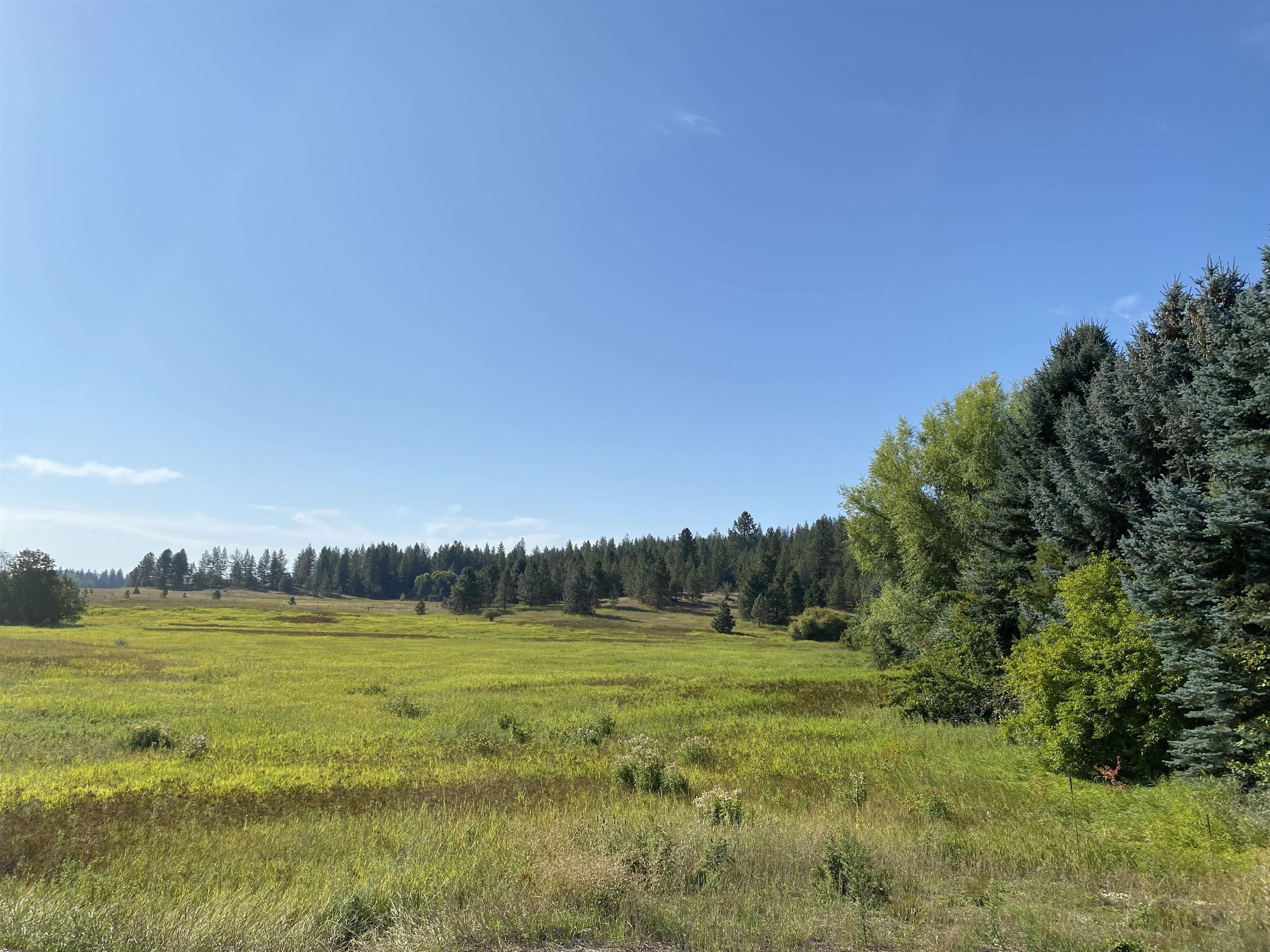 8109 West Staley Road Deer Park, WA 99006 - Photo 13 of 15