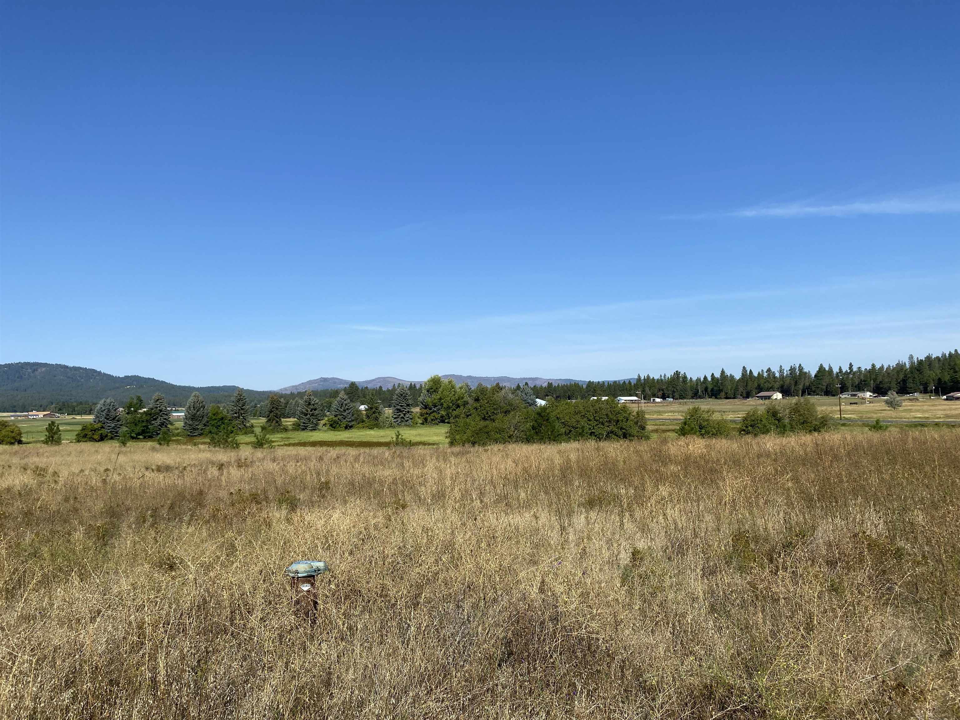 8109 West Staley Road Deer Park, WA 99006 - Photo 6 of 15