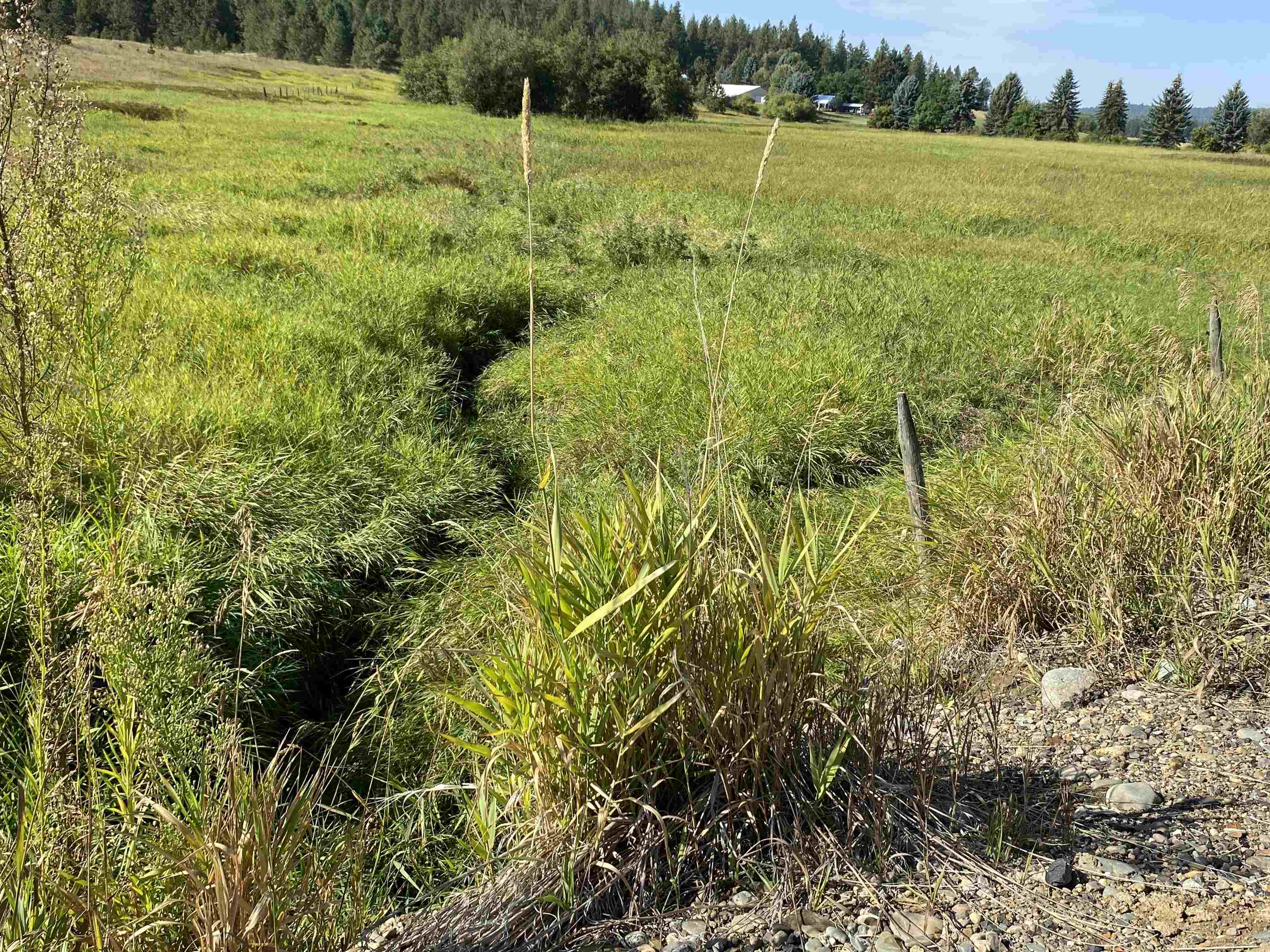 8109 West Staley Road Deer Park, WA 99006 - Photo 9 of 15