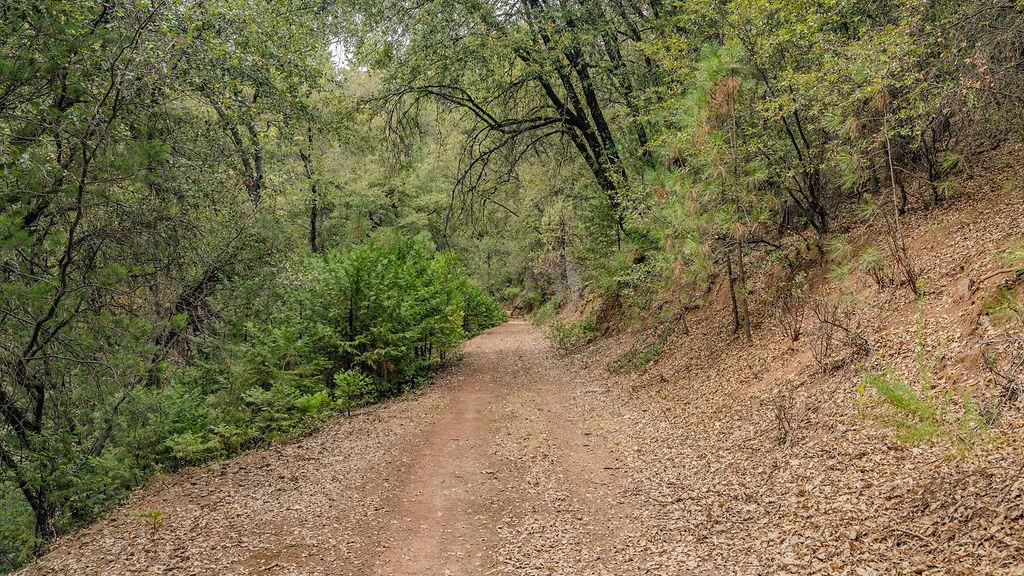 12511 Tabeaud Road Pine Grove, CA 95665 - Photo 70 of 99 Gallery Image 70