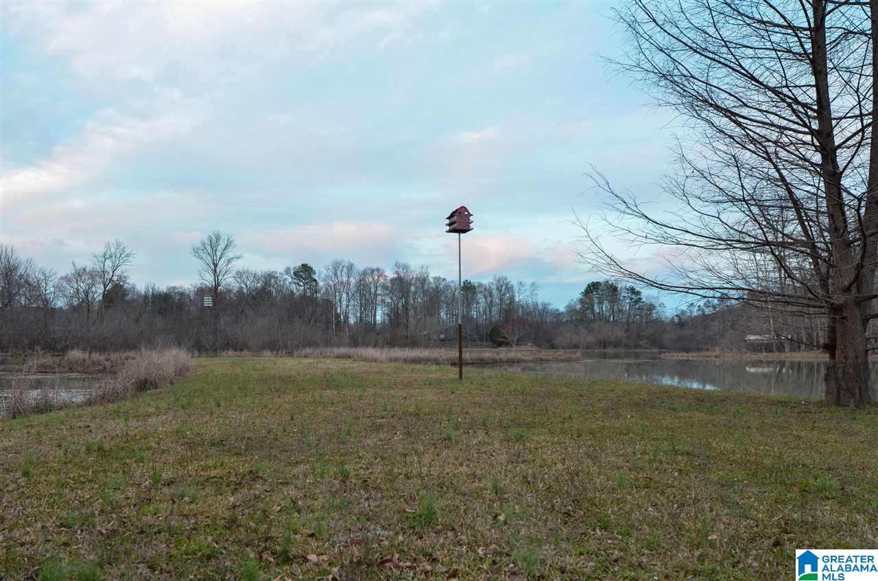 354 Gross Road Parrish, AL 35580 - Photo 6 of 10