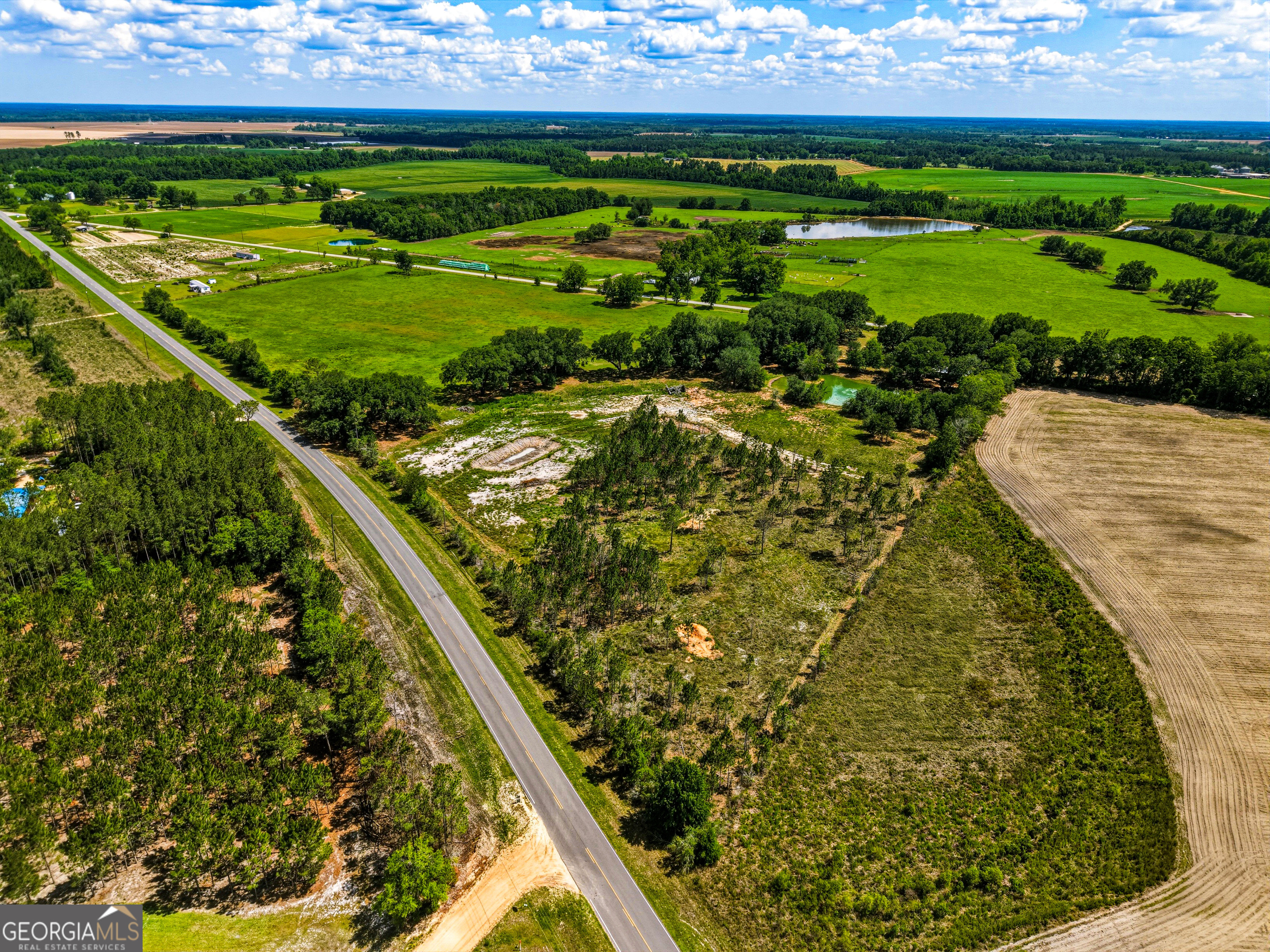 0 Ritch Church Road Screven, GA 31560 - Photo 3 of 43