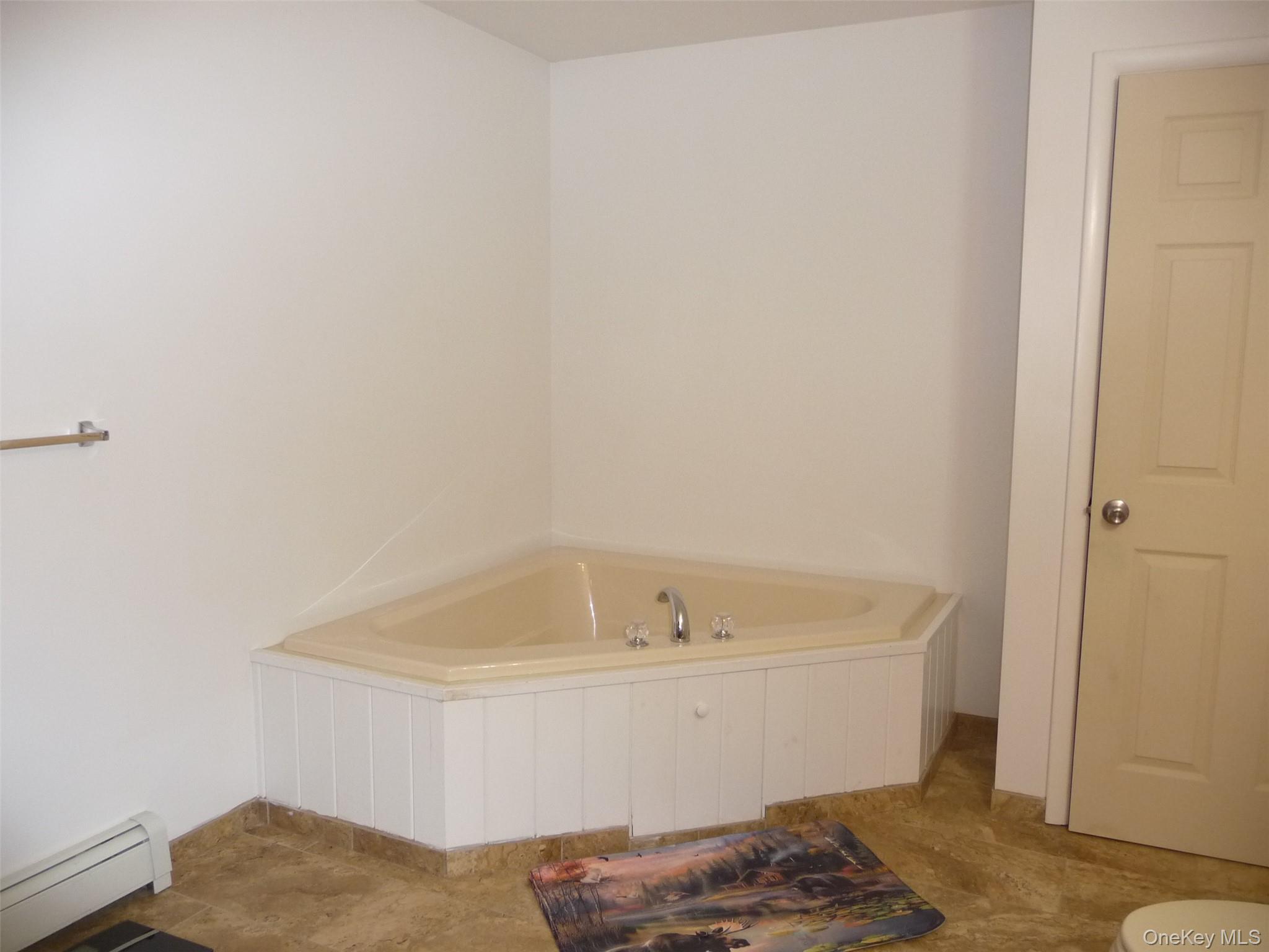 173 Franke Road Huguenot, NY 12746 - Photo 18 of 39 a bathroom with a bathtub