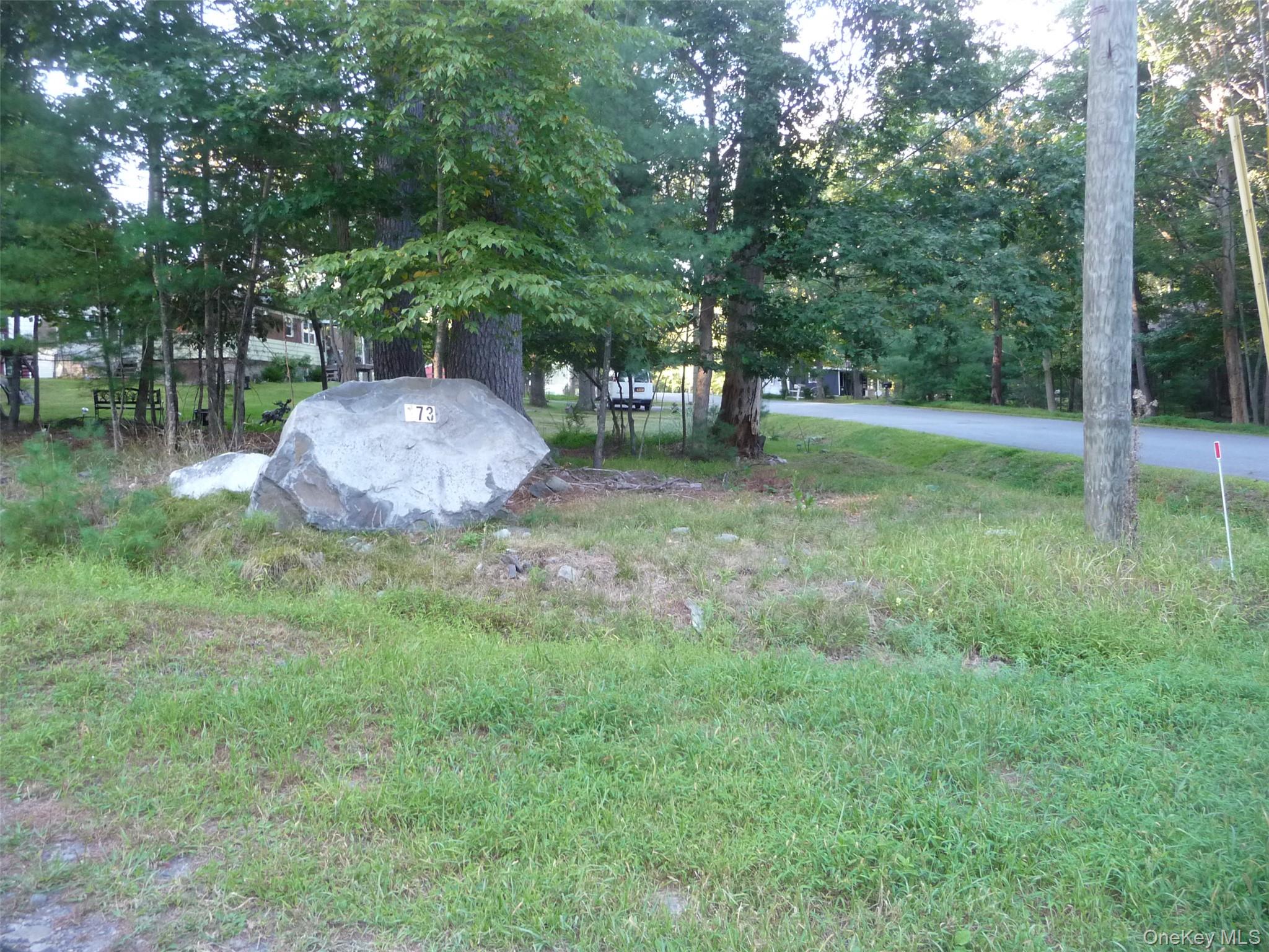 173 Franke Road Huguenot, NY 12746 - Photo 39 of 39 a view of a backyard with a garden