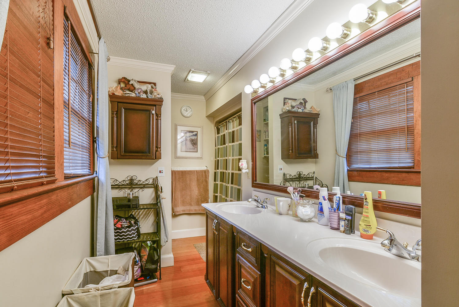 176 Harwood Road Gray, TN 37615 - Photo 24 of 47 176 Harwood master bath