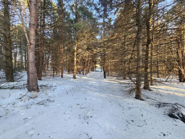 $55,000 | 2600 South Scottville Road, Scottville, MI 49454