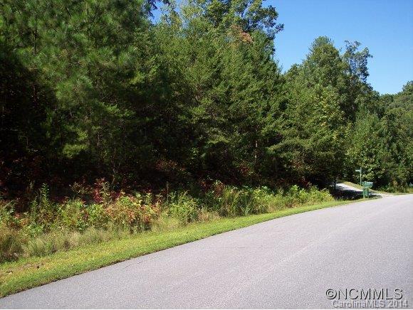 5 Colton Ln Mill Spring, Unit 5 Mill Spring, NC 28756 - Photo 2 of 4