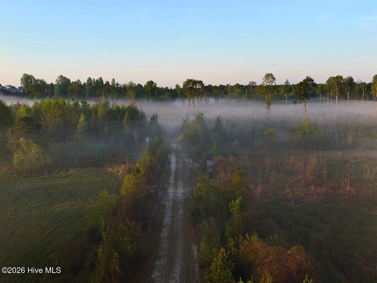 0 Durwood Evans Road Beulaville, NC 28518 - Photo 22 of 68 22.