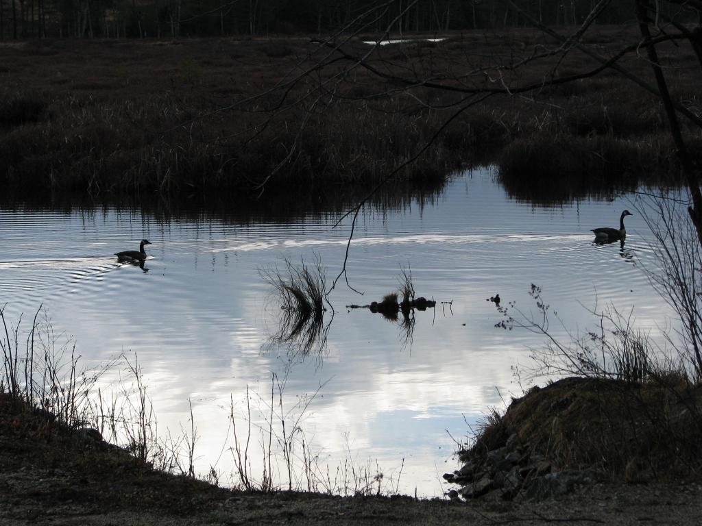 192 Francestown Road Greenfield, NH 03047 - Photo 11 of 15