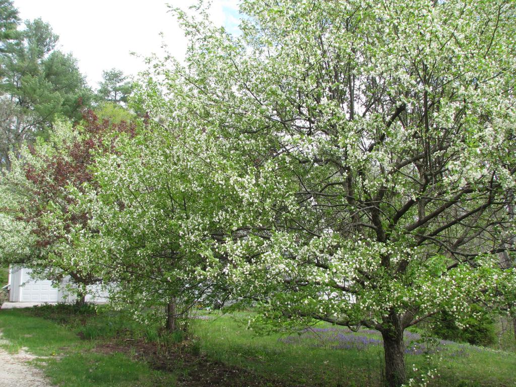 192 Francestown Road Greenfield, NH 03047 - Photo 13 of 15