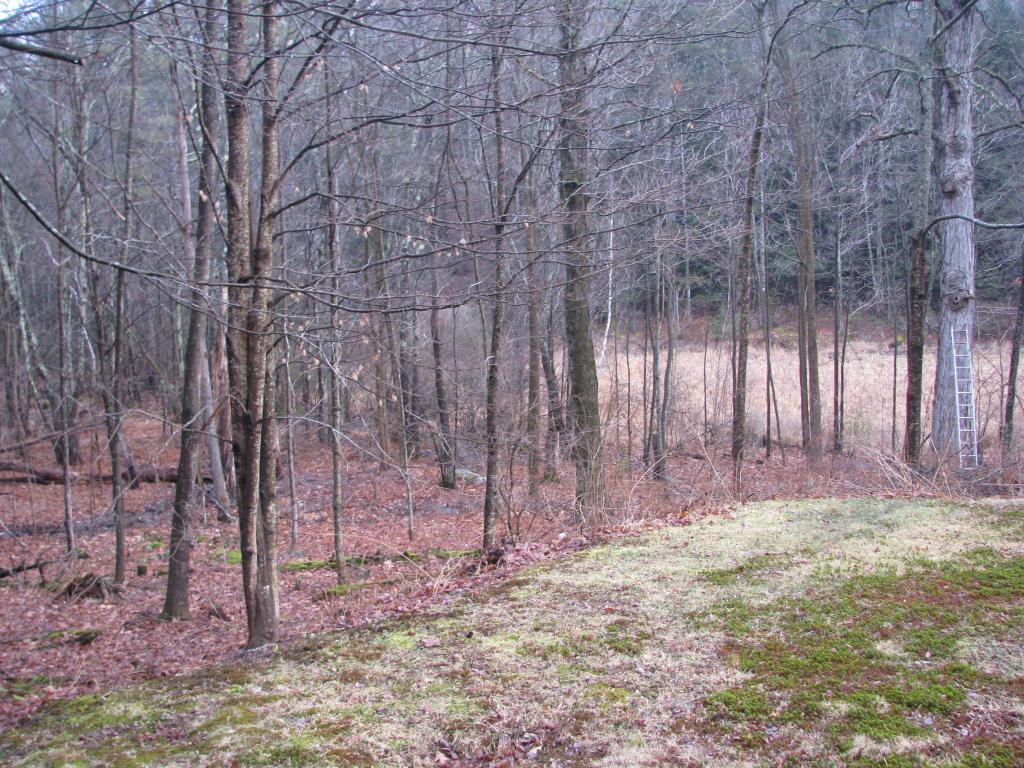 192 Francestown Road Greenfield, NH 03047 - Photo 10 of 15