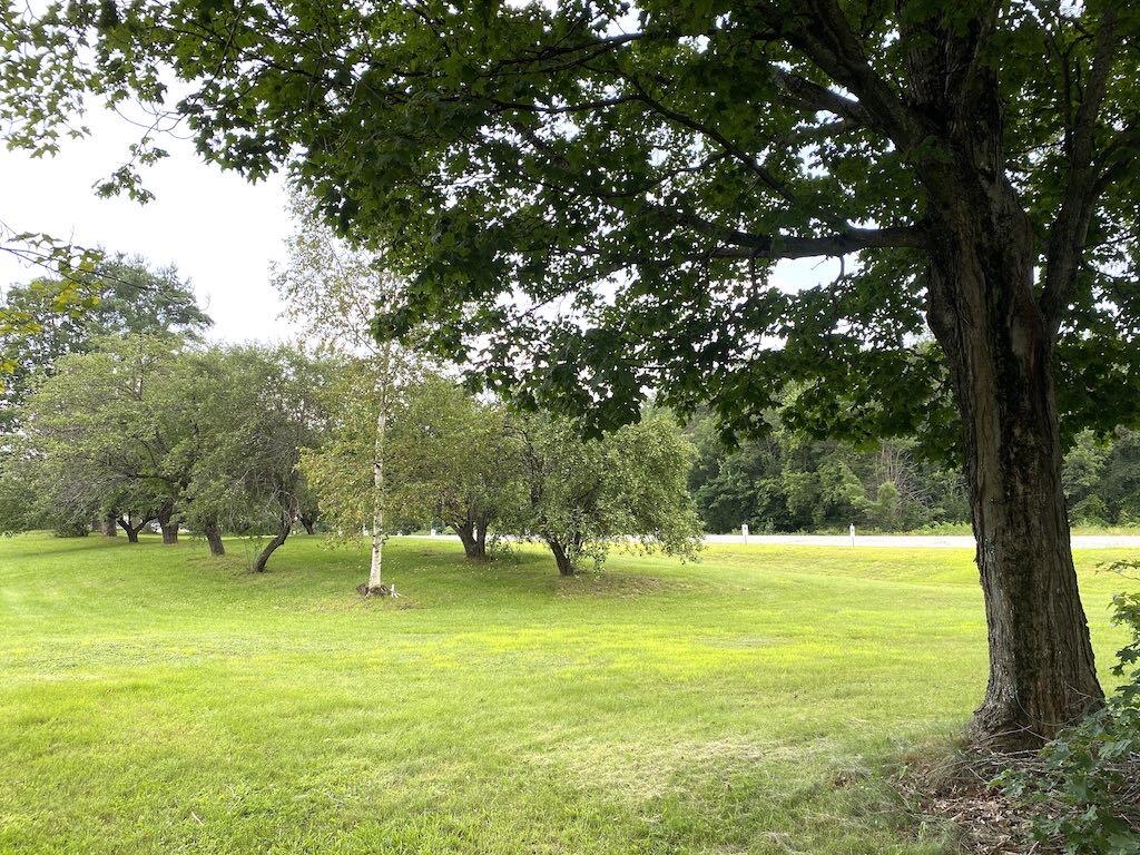101 Dodge Road Avon, ME 04966 - Photo 21 of 22 looking-west-8932-cropaSQ50