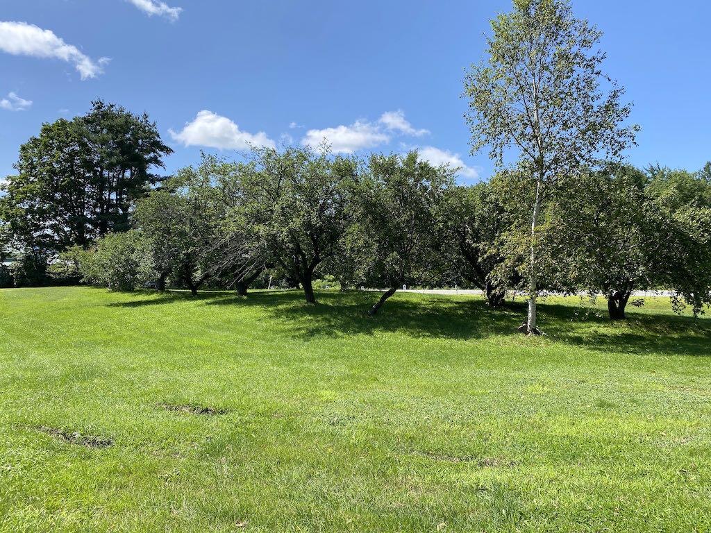 101 Dodge Road Avon, ME 04966 - Photo 5 of 22 apple-trees-8992-cropa-2048x1536SQ50
