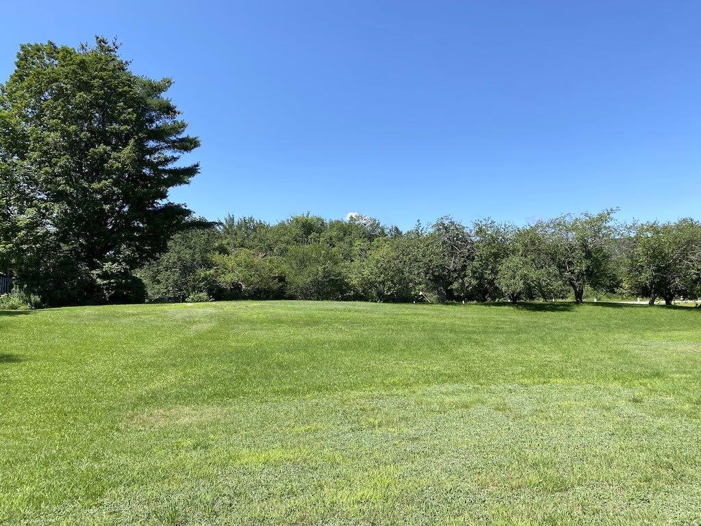 101 Dodge Road Avon, ME 04966 - Photo 6 of 22 open-field1-9039-cropa-2048x1536SQ50