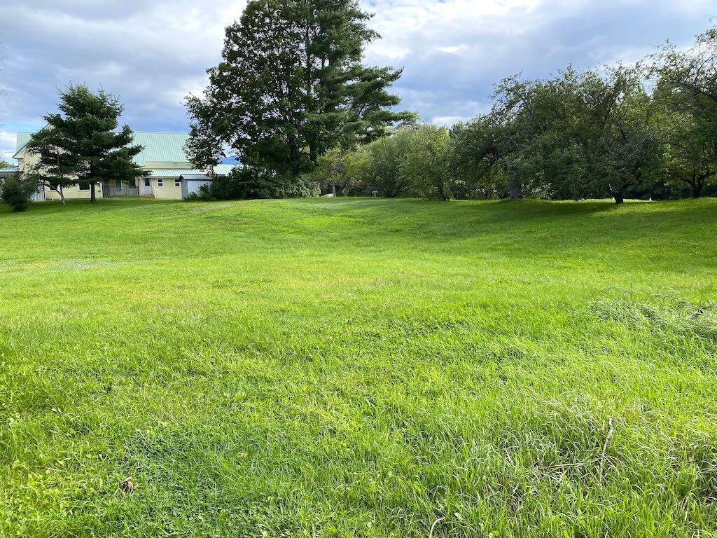 101 Dodge Road Avon, ME 04966 - Photo 8 of 22 open-field-with-apple-trees-cropa-9282SQ