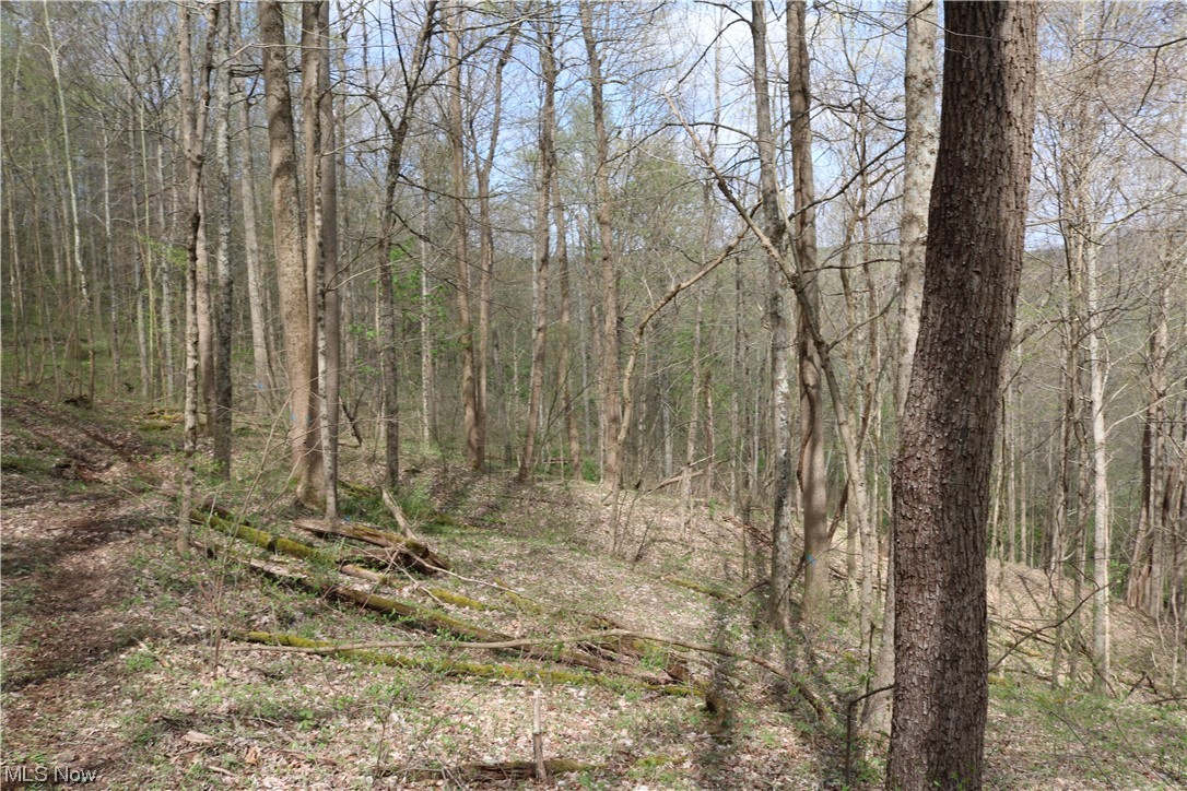 Hootowl Ridge Road Caldwell, OH 43724 - Photo 12 of 30 Gallery Image 12