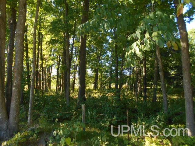 Tbd Miller Road Florence, WI 54121 - Photo 24 of 24