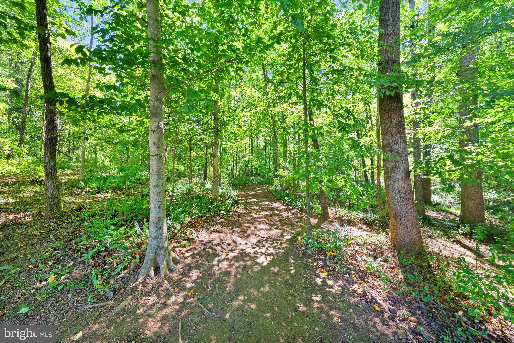 16134 Quail Ridge Drive Rixeyville, VA 22737 - Photo 60 of 73 Gallery Image 60