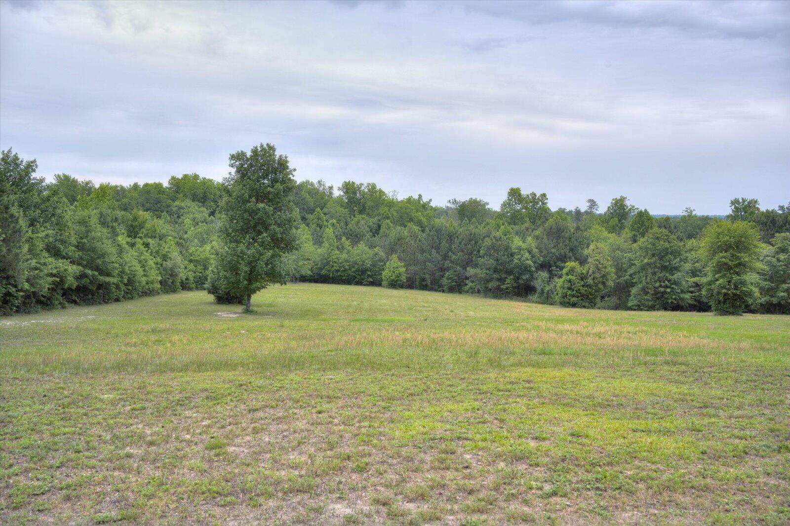 6347 Luckys Bridge Road Dearing, GA 30808 - Photo 53 of 67 53-043-