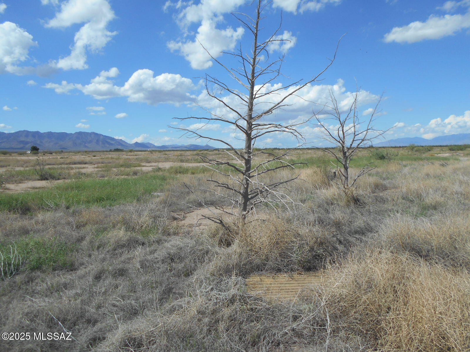 4.7-acres Ingram Road Willcox, AZ 85643 - Photo 23 of 25 a view of a yard