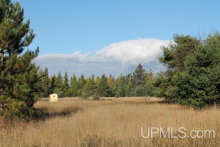 Tbd Missouri Rd - Co Rd 565, Unit LAT 46 31633 LON 87 5822 Gwinn, MI 49841 - Photo 8 of 30
